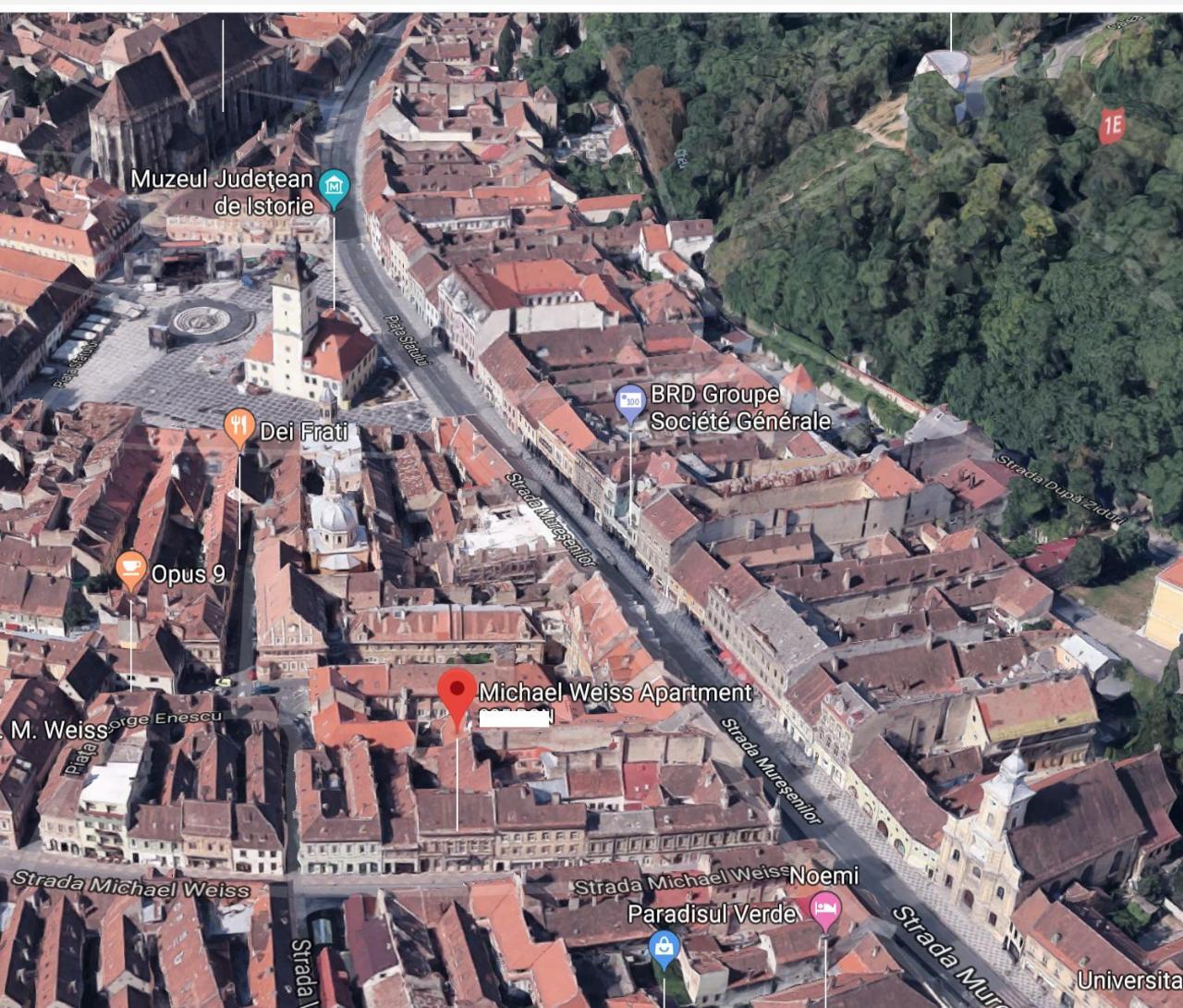 Michael Weiss Apartment Braşov Dış mekan fotoğraf